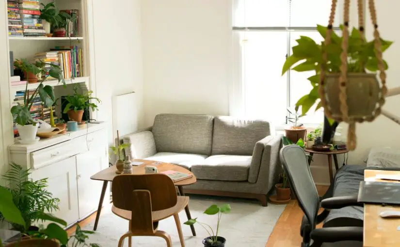 Renter-Friendly Design Tips for Your Dream Home