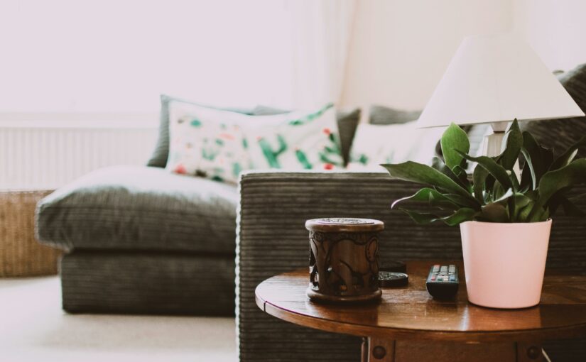 Upholstery Care Tips for Budget-Friendly Property Owners