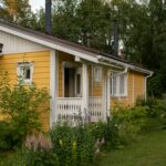 Soffit and Fascia Damage