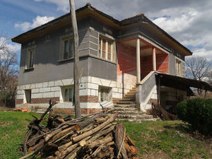 Spacious, one-storey house near Vidin
