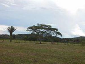 Large lots in San Ignacio, Cayo District, Belize