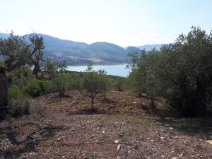 sh 625 land plot, Caccamo Sicily