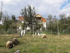 Household in Ljubić village near Kragujevac Serbia