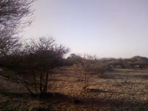 15 hectares farm for sale in Rasesa, Botswana along A1 road
