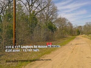 2 Exceptional Vacant Lot for Sale in Cedar Creek Lake 
