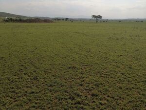 37500 acres of land for sale in Taita-Taveta County kenya 