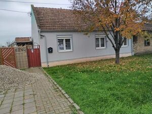House for sale in Sajkas-Titel, Serbia