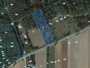 Land plot of 5,200 m² in Olszowa near Radom city in Poland