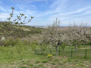Land for sale 6 km from the center of Kragujevac