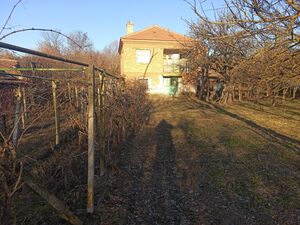 village of Zlatiya, municipality of Valchedram, Montana regi