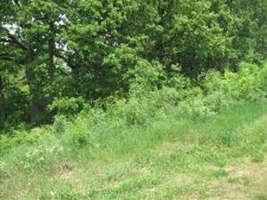 Na prodaju poljoprivredno zemljiste Rusanj