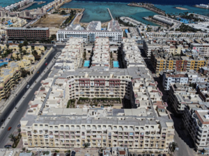 Florenza Khamsin🌺