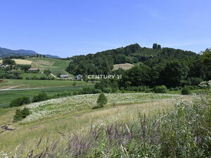 Opportunity to buy larger land for cultivation