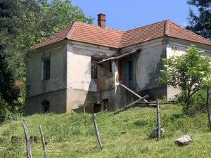 I am selling two houses in Pepeljevac-Lajkovac