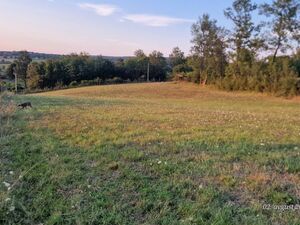 Land for sale in Ducina-Sopot