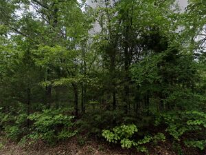 0.41 Dream Home Corner Lot Close To Crown & Diamond Lakes - 