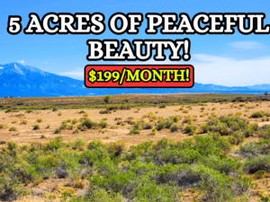 5.03 Acres of Unmatched Natural Beauty - Just $199/Mo.
