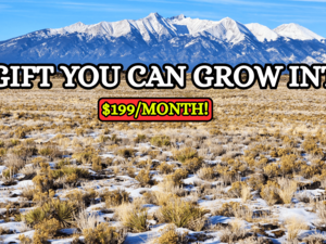 Give the Gift of Land This Christmas - $199/Mo.