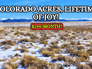 This Christmas, Give the Gift of Affordable Land! - $199/Mo.