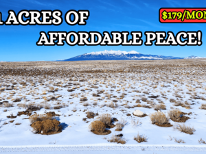 Now is the Time to Invest in CO. - 4.91 Acres - $179/mo.