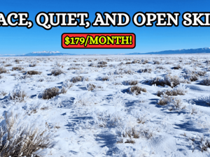 5 Pristine Acres in San Luis - $179/mo.