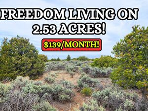 Buy Now! 2.53 acres in Costilla for Cheap!