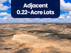 $47/Down Buys Adjacent 0.22-Acre Lots Totalling 0.44 Acre 