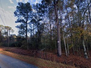 1-Acre Land in Pineland SC | Owner Financing Available