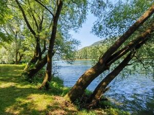 Plots for sale Gornja Trešnjica-Ljubovija