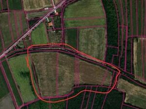 Land in Staro Selo - Velika Plana for sale