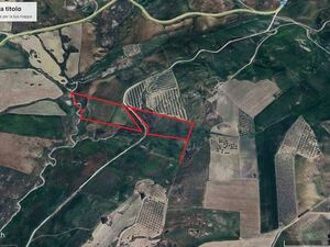 Land in Sicily - Cimino Gaetana