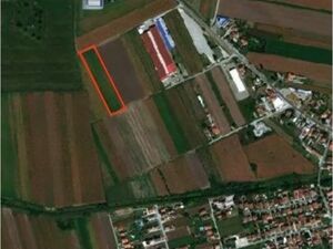 58 ares of land in Stara Pazova