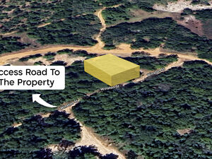 Discover Your Build-Ready Oasis on Putnam Florida 