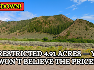 4.91 Acres in Colorado for $107/Mo!