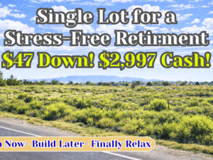 Buildable 0.90 Acre (Almost 1 Acre) Lot – $47 Down