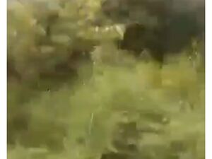 For rent farm lot in loreto, Agusan del sur, Philippines 