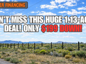 $199/Down Gets You HUGE 1.13 Acres of Elko Land. Buy It Now