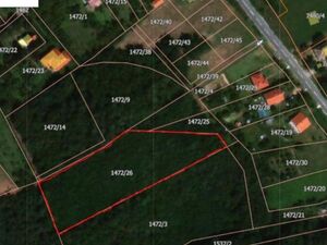 Forest land for sale in the municipality of Barajevo-Batašin