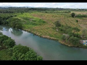 Farm lot in sto. Tomas, Davao del Norte 