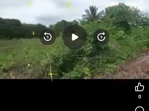 Farm lot in bukidnon 