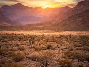 Grab Your Luna, NM 0.53 acre Land For Just $47/Month