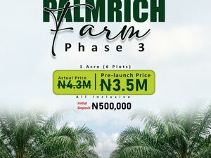 Palm Rich Farm Estate Phase 3