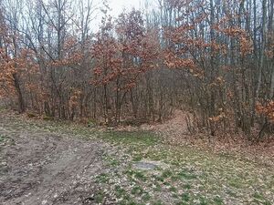 Plot of land in Atomska Banja