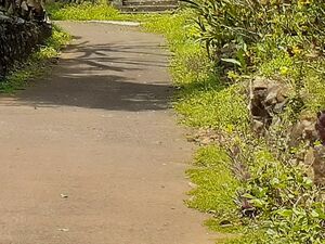 Urgent sale Mundakayam, Main Road plots 40 cents and 30 cent