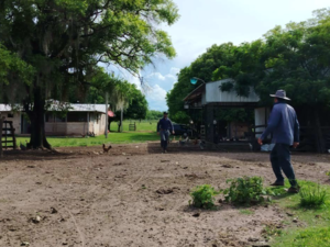 432 has for Sale in Tuparenda Area, Caazapá