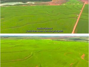 6555 has Ytanara dep. de Icanindeyu