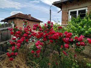 Residential Property with an Operational 30 kW Solar Power 