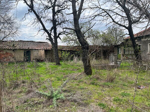 Lyubenovo Village (Pleven Region) 