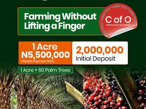 Palm Crest Farm Phase 3