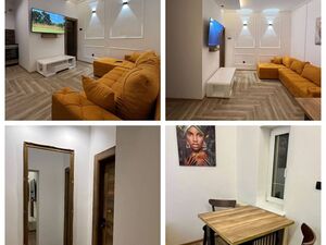 I am renting two two-bedroom apartments in Belgrade-Vojvode 